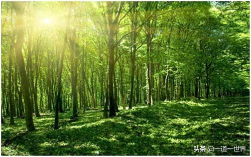我的座右铭名人名言有哪些（最值收藏的名言名句）