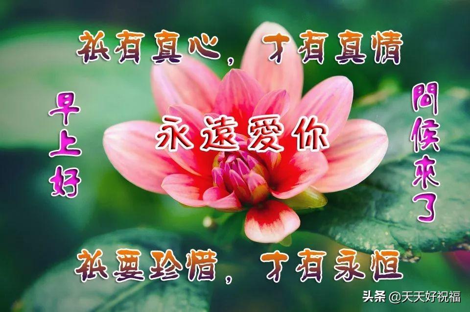 开心快乐每一天的句子（开心每一天的霸气说说）