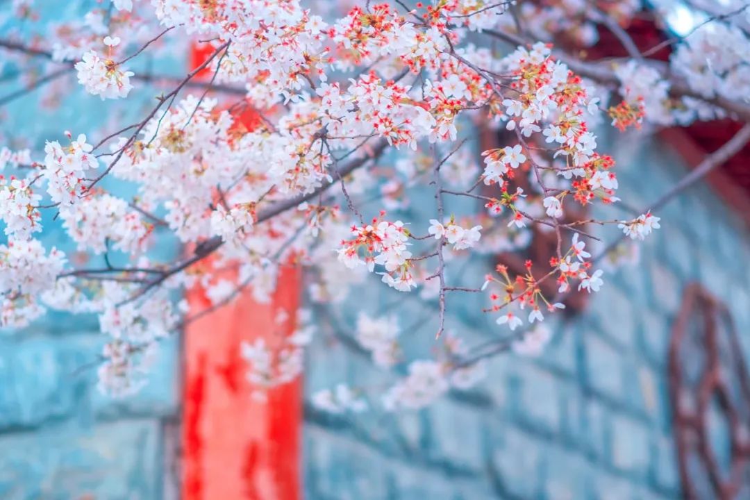 爱的诗句或名言（浪漫的爱情诗句分享）