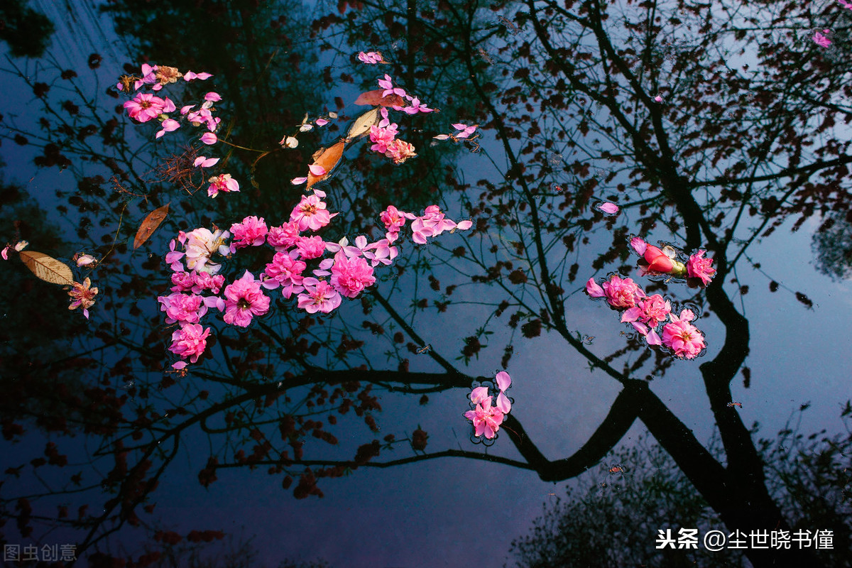 飞花两岸照船红的飞（飞花两岸照船红参照物 ）