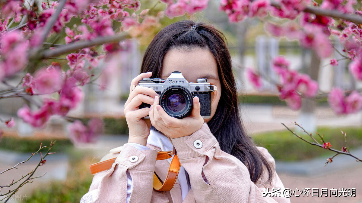 写青春的现代小诗（写青春的唯美句子摘抄）