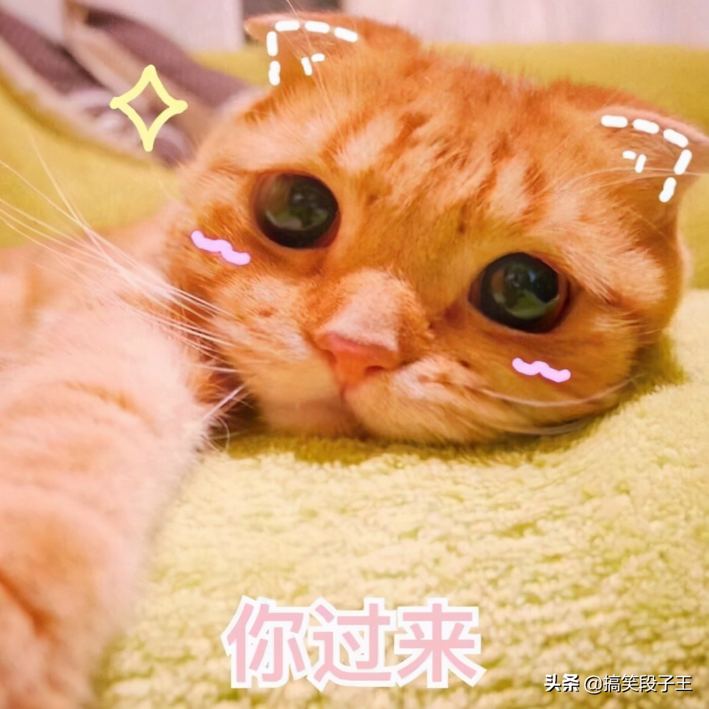 形容长胖了的幽默句子说说（女生说自己胖高情商回答）