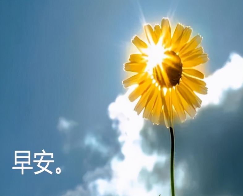 关于日出的唯美句子（发朋友圈配日出的正能量心语）