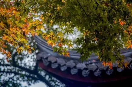 形容喝酒的诗词（形容喝酒尽兴的诗句）