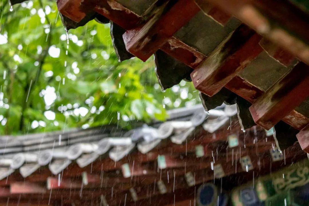 描写夏天景色的成语（赞美夏天景色的句子 ）