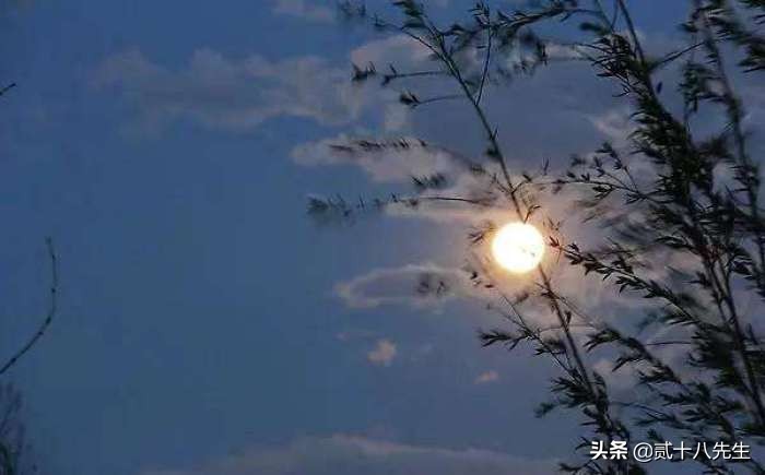 形容五月的优美诗句（描写五月的优美句子摘抄）