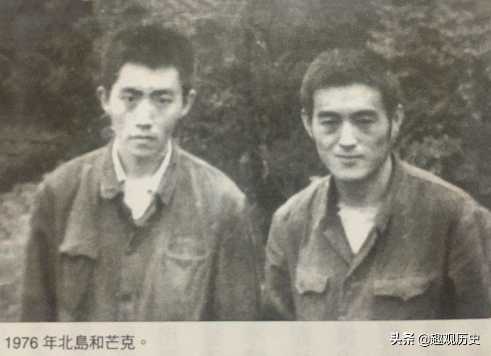北岛的三首最著名的诗（北岛的著名诗歌赏析）