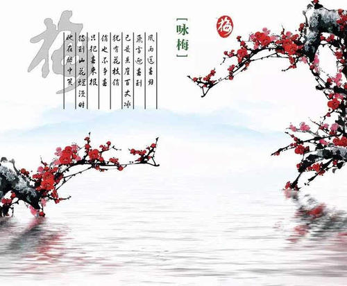 卜算子咏梅翻译赏析（卜算子咏梅的译文简短）