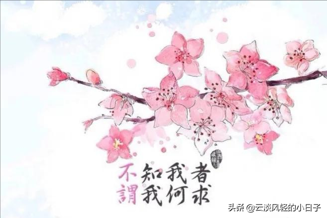 不知我者谓我何求什么意思（不知我者谓我何求上一句）