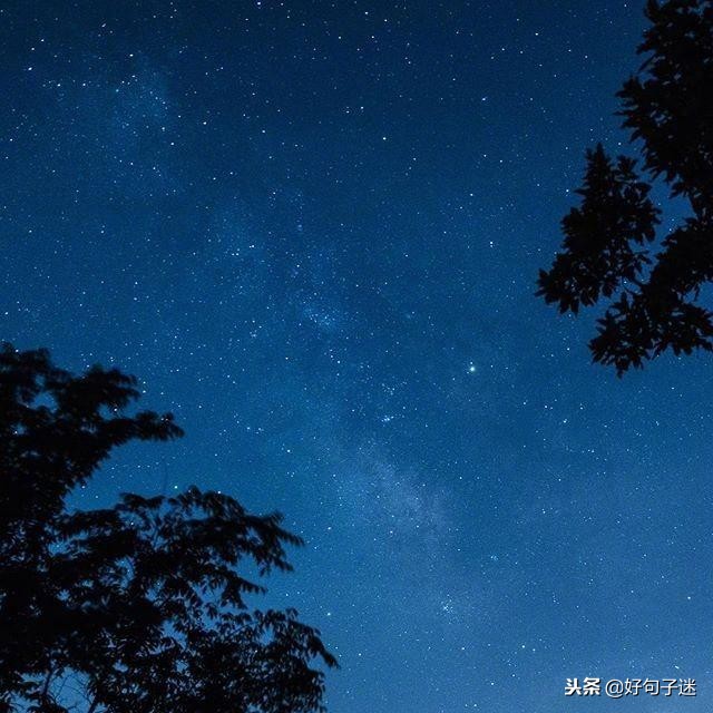 晚安语录经典语录暖心（最暖心晚安心语哲理一句话）
