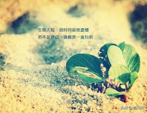 唯美情话写给女友短句（最能感动女朋友的情话）
