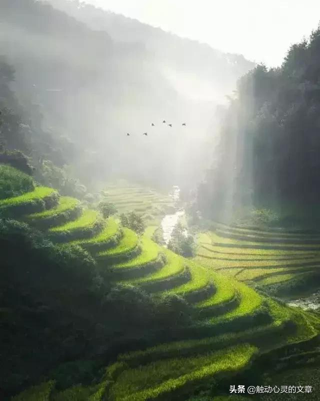 描写心情的唯美句子（心情的优美句子短句）