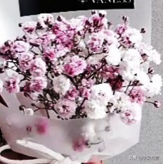 孩子需要陪伴经典语录（亲子活动发朋友圈的文案说说）