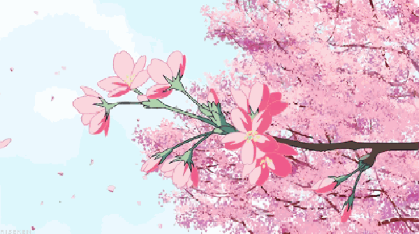 一地落花的唯美句子（有关落花的唯美诗句）