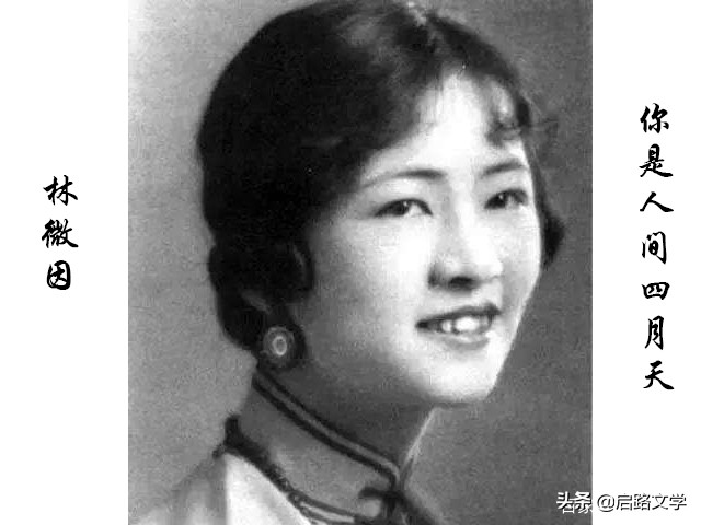 林徽因诗集经典句子（林徽因最美的十首诗）