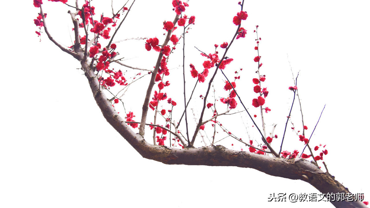赞美春天的词语和句子（描写春天的好词美句大全）