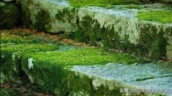 文言文翻译技巧（文言文翻译的6个基本方法）