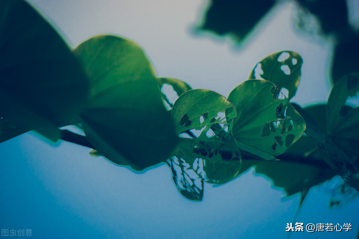 感恩生命的唯美句子（适合发朋友圈感恩的话）
