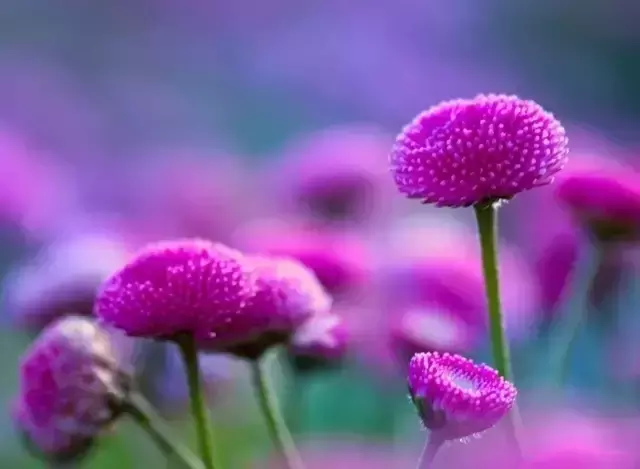 一场秋雨一场寒的下一句（一场秋雨一场寒描写的是哪个季节）