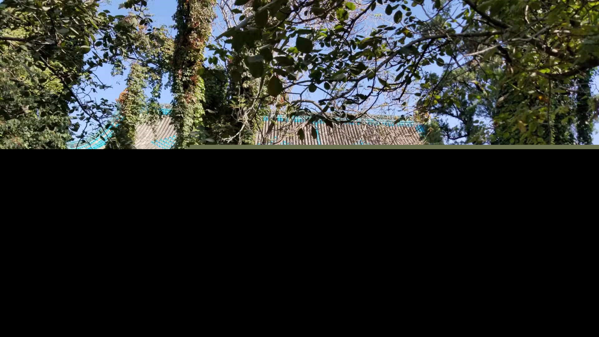 母校回忆精美句子简短（怀念母校的优美句子简短）