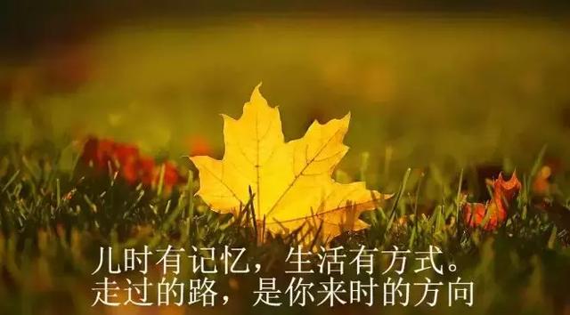 每天保持好心态的说说简短（积极向上的心情说说）
