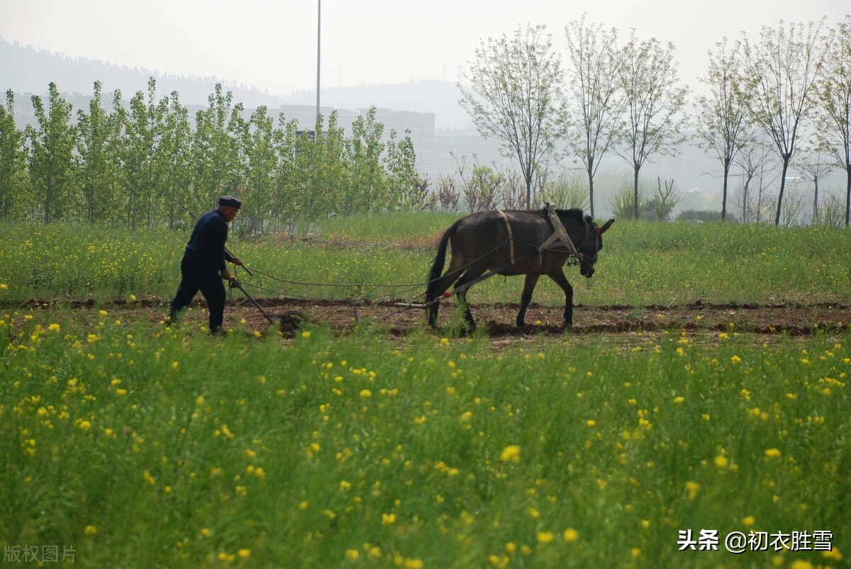 古人赞美父亲的诗词名句（表达父爱如山经典诗句）