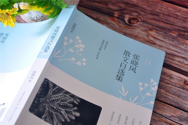 张晓风散文精选摘抄赏析（分享张晓风散文精选好词）