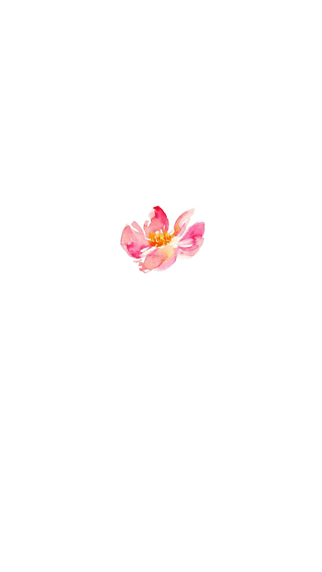 表达友谊的暖心短句小清新10字（赠你唯美治愈的暖心语录）