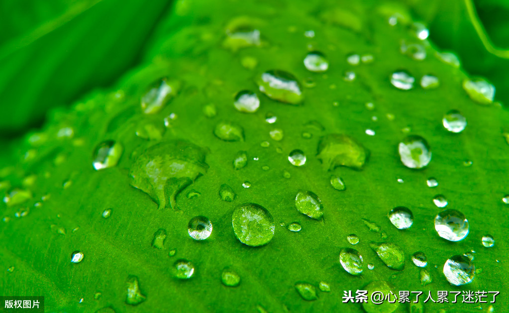 吸取教训的名言警句（深刻反思吸取教训的诗句）