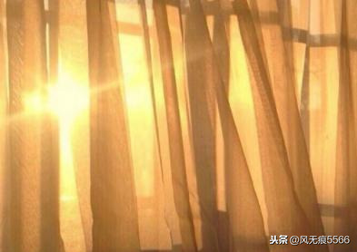 一辈子只爱一个人情话短句（2021很有品味的爱情语录）