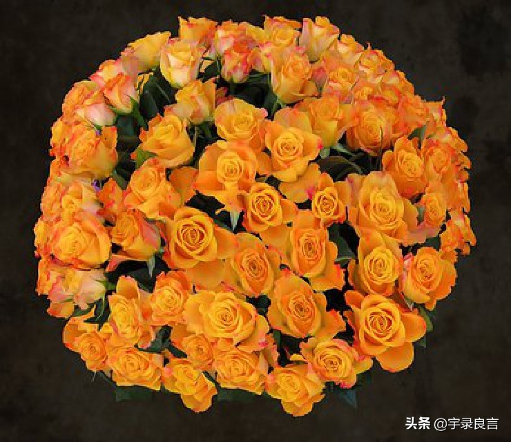 抖音人生如戏的经典短句（人生如戏的经典语录）