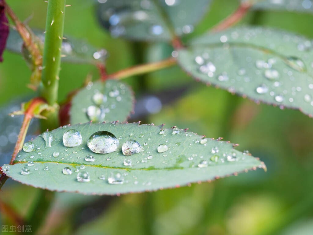 描写秋雨的文章有哪些（表达下雨天心情低落的情绪）