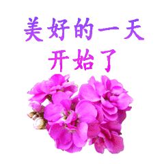 天空很美的短句（赞美天空云层美景的句子）
