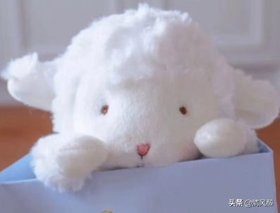 发朋友圈搞笑短句（幽默风趣高情商的俏皮句子）