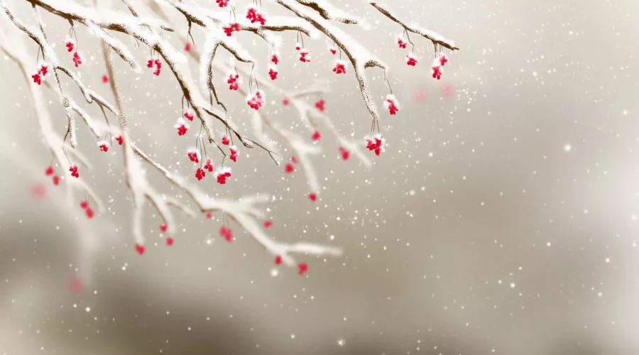 关于描写雪的句子有哪些（赞美雪景的诗句赏析）