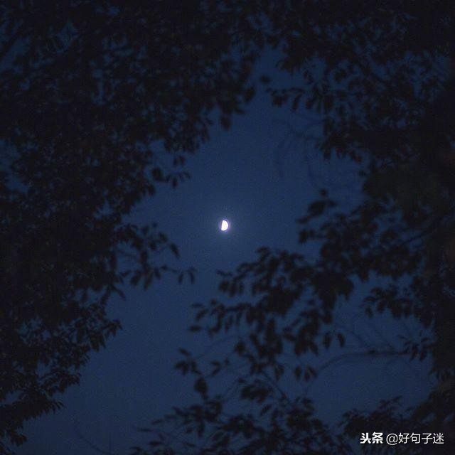 晚安语录经典语录暖心（最暖心晚安心语哲理一句话）