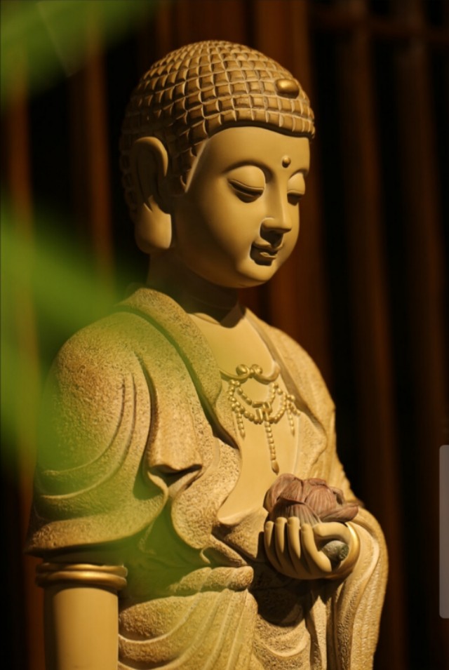 自强不息的诗句名言（关于自强不息的好段摘抄）