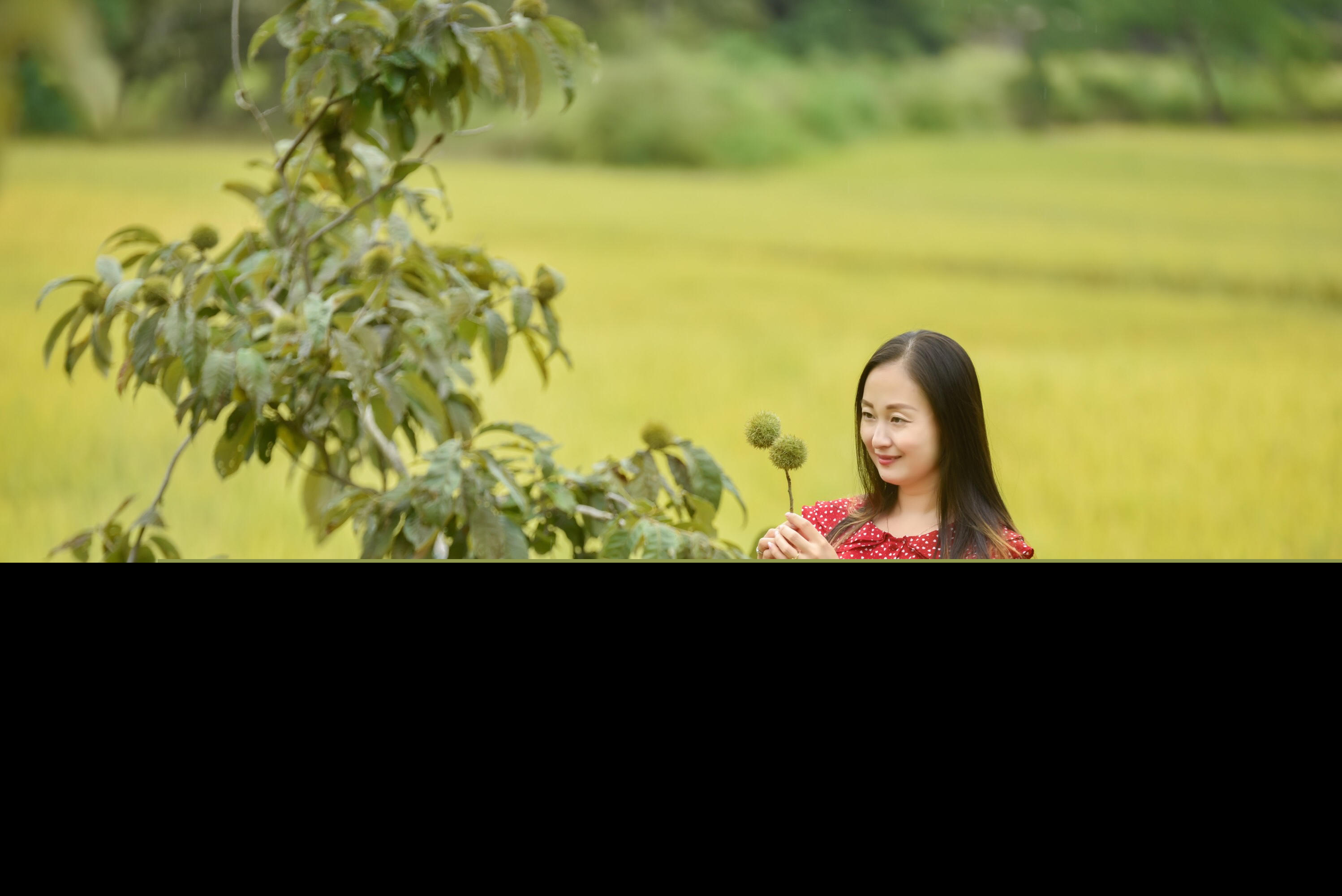 关于丰收的诗句有哪些（描写丰收喜悦心情诗句）