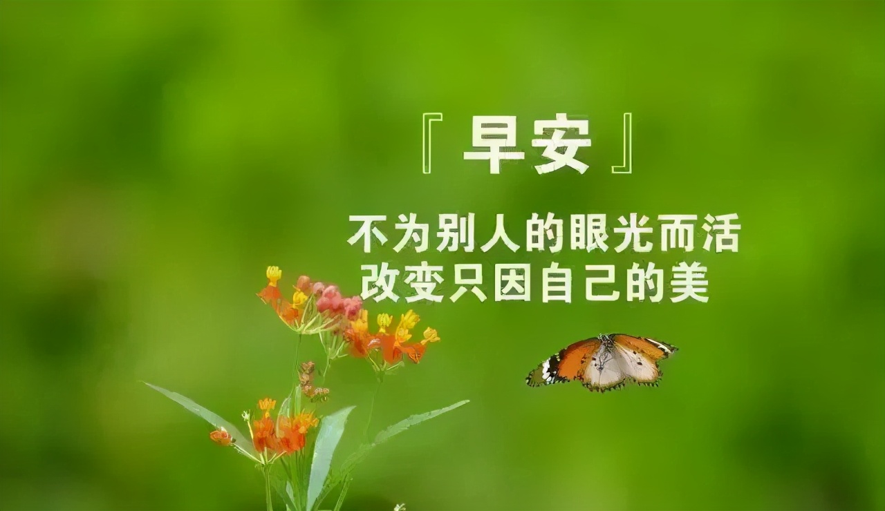 真心问候朋友的句子（最新版早上好问候语）