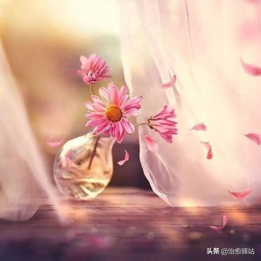 表示释怀和放下的句子（一句自我释怀的语录）