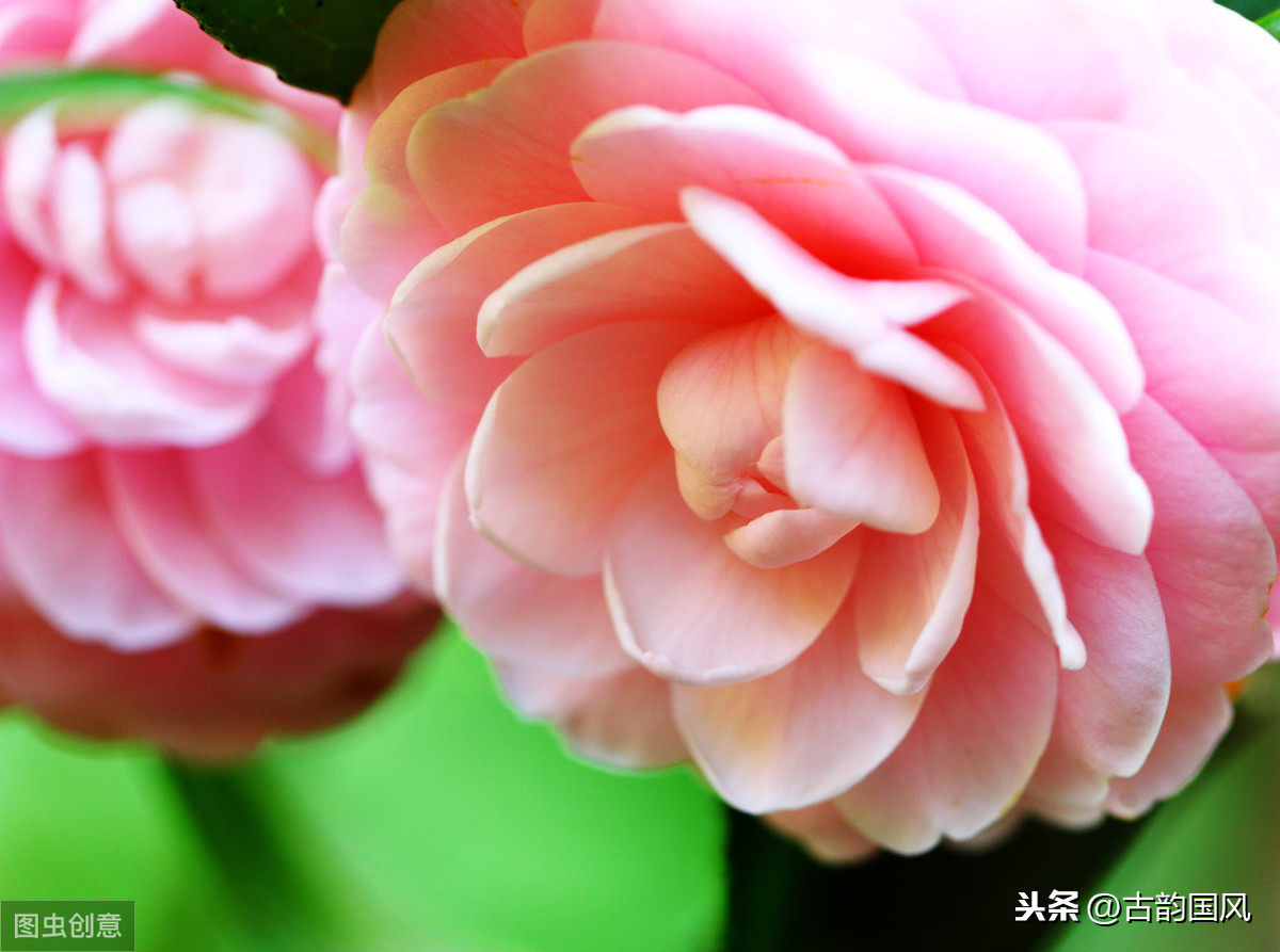惜时诗句有哪些（10首惜时古诗词）