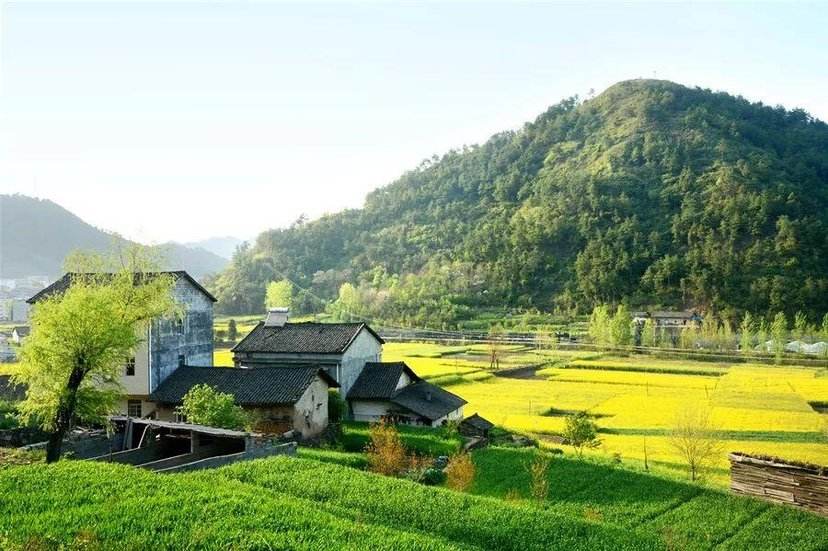 莫言散文静静的想念（关于思念的散文随笔）