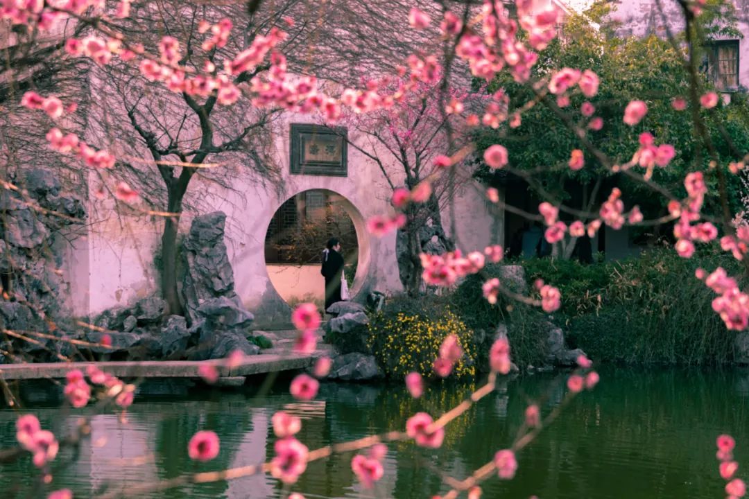 七夕古诗词经典诗句（描写传统节日七夕节的古诗）