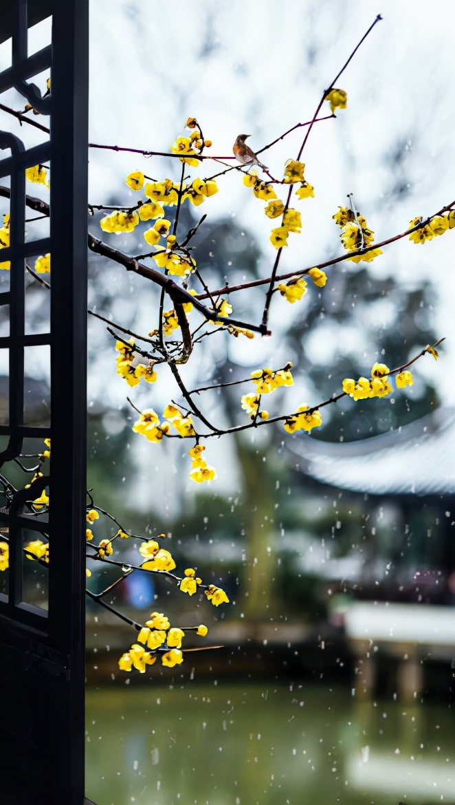雪景诗句唯美简短（关于雪的优美诗句）