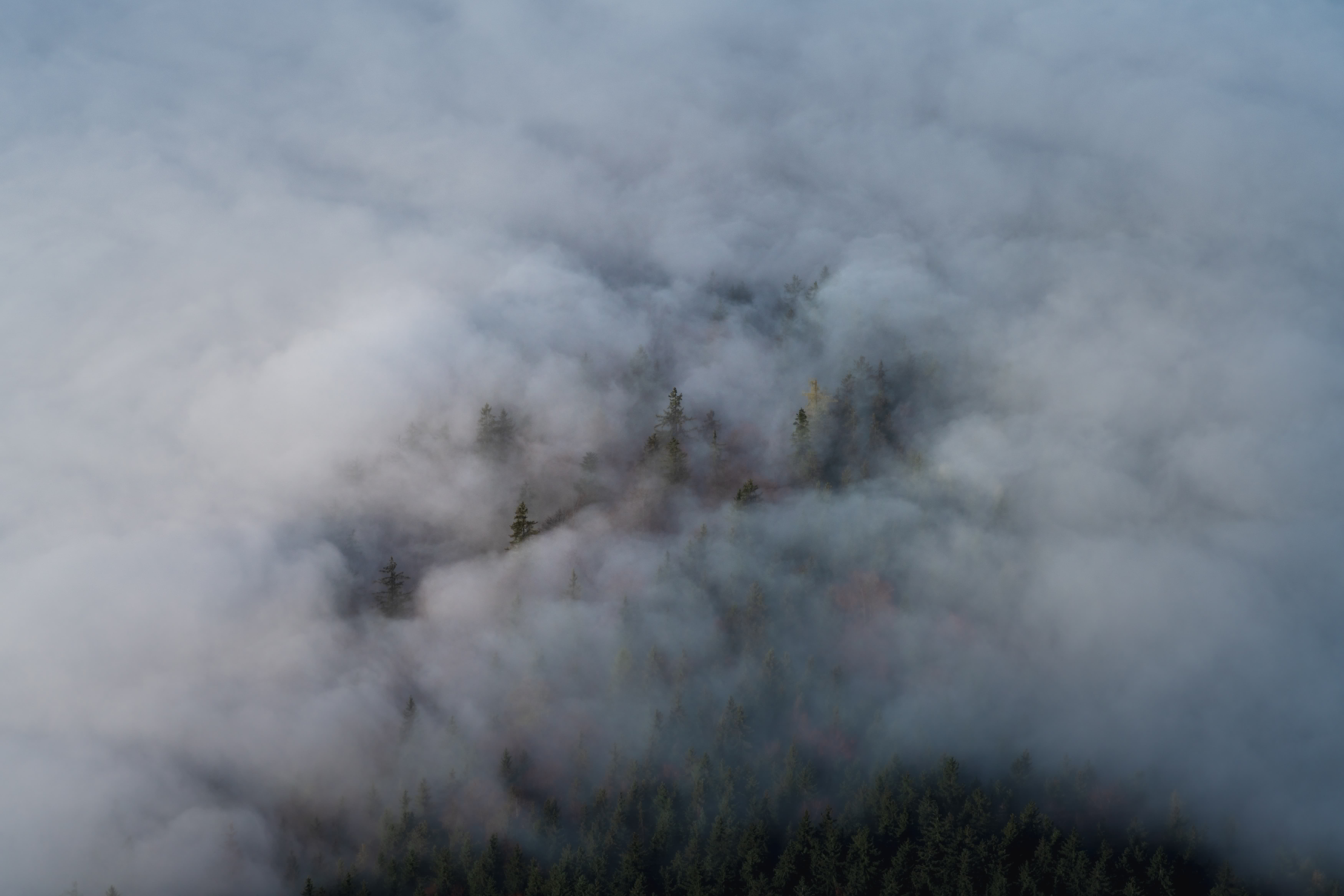 庐山烟雨浙江潮全诗词赏析（苏轼的庐山烟雨赏析）