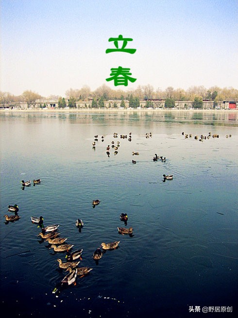 优美抒情散文欣赏(抒情散文鉴赏)
