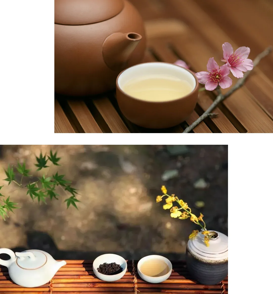 诗经中关于茶叶的诗句（诗经中最唯美的茶名）