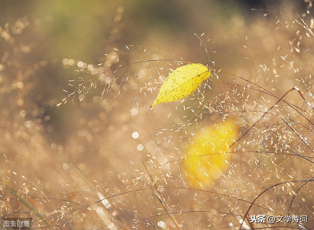 八声甘州对潇潇暮雨洒江天（八声甘州原文及翻译赏析）