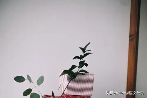 陈太丘与友期行文言文翻译（陈太丘与友期行赏析）