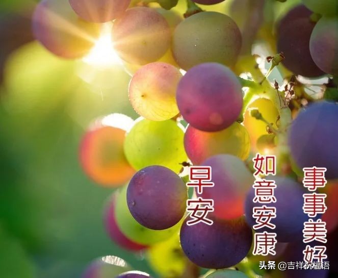周一早上问候语温馨（适合星期一的早安心语）